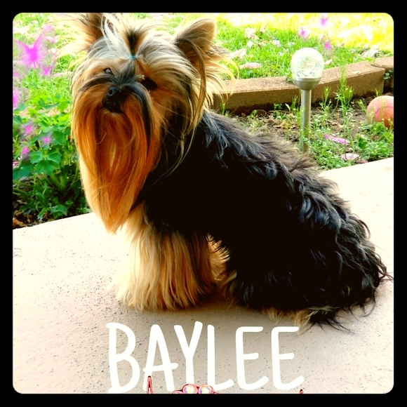 Not for sale - Picture 1 of 1